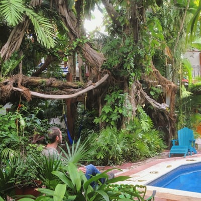 Eco Hotel El Rey Del Caribe by null