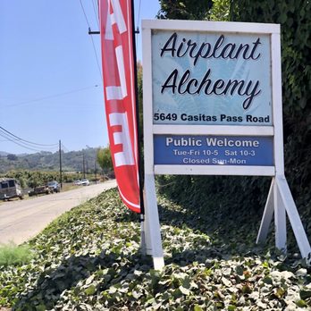 Airplant Alchemy - Easy to miss entrance off Casitas Pass - Home & Garden Near Me - Carpinteria, California