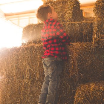 Grit & Grace Ranch - Grit & Grace Ranch has something fun everyone and every age. - Horseback Riding Near Me - Hillsboro, Missouri Grit & Grace Ranch - Grit & Grace Ranch has something fun everyone and every age. - Horseback Riding Near Me - Hillsboro, Missouri