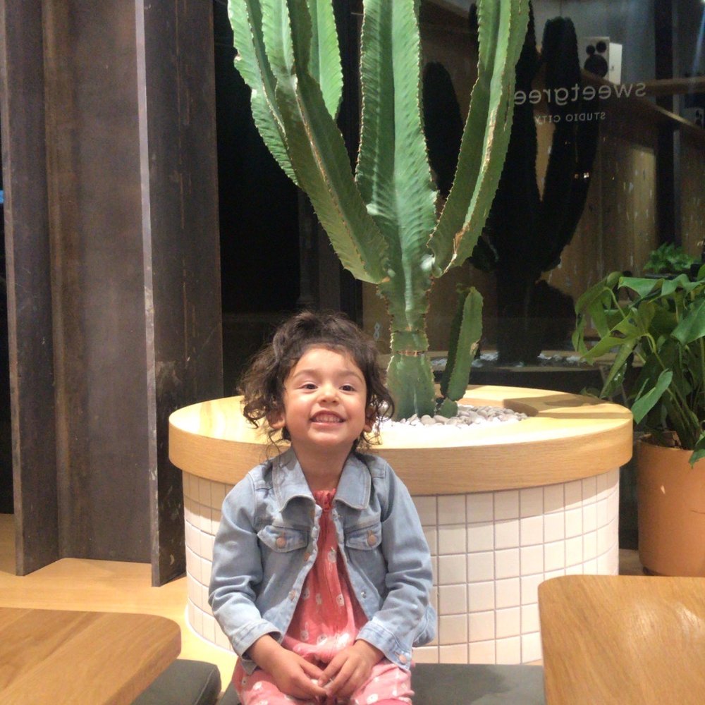 sweetgreen - Healthy Salads, Wraps, and Bowls - Mama loving the decor! - Salad Near Me - Studio City, California sweetgreen - Healthy Salads, Wraps, and Bowls - Mama loving the decor! - Salad Near Me - Studio City, California