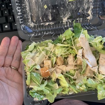 Corner Bakery Cafe - Teeny tiny "cafe salad" cute right?! No. - Bakeries Near Me - Plano, Texas