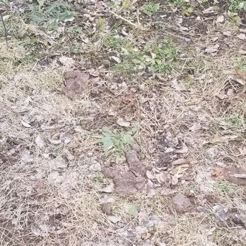 The Poo Pros - Pet Waste Removal Near Me - Mentor, Ohio