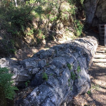 The Petrified Forest - Parks Near Me - Calistoga, California The Petrified Forest - Parks Near Me - Calistoga, California