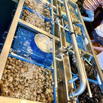 Taylor Shellfish Farms - Fresh Oysters - Seafood Near Me - Seattle, Washington
