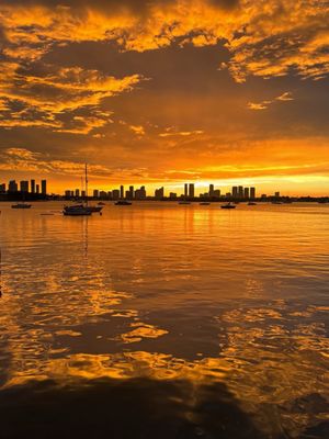 Pamplemousse on the Bay by null