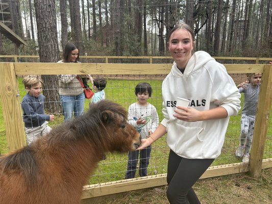 Charleston Adventure Forest by null