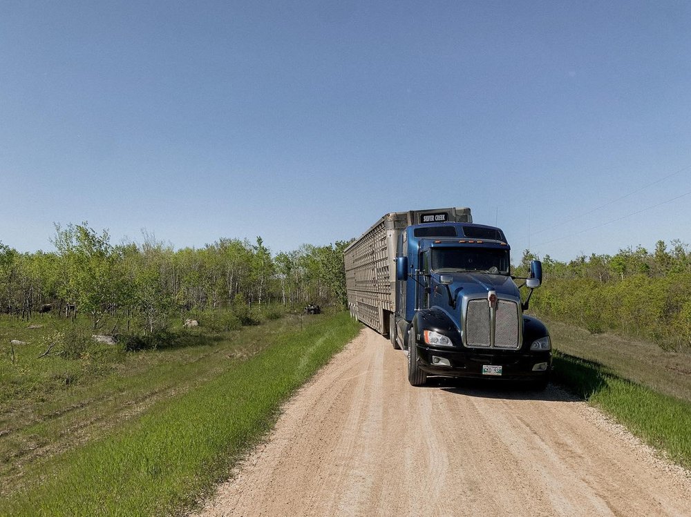 SILVER CREEK LIVESTOCK Updated June 2024 Steinbach, Manitoba