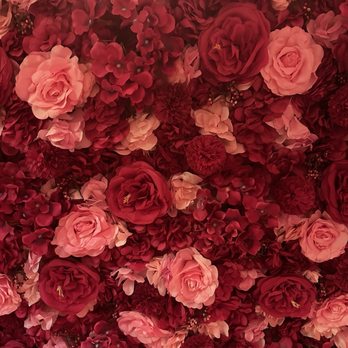 La Rosa - Venues & Event Spaces Near Me - La Habra, California La Rosa - Venues & Event Spaces Near Me - La Habra, California