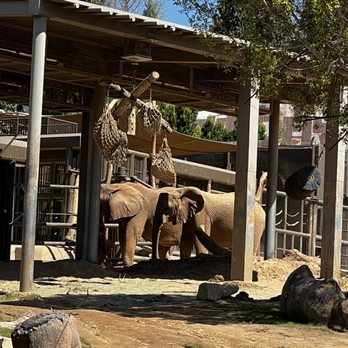 Elephant Valley - Zoos Near Me - Escondido, California