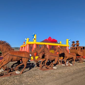 Pronzini Christmas Tree Farms - Another beautiful piece for sale - Pumpkin Patches Near Me - Petaluma, California