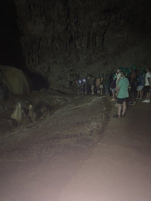 Parque Nacional de las Cavernas del Río Camuy by null