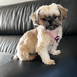 Tilly Tilly