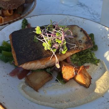 Alba Restaurant - Faroe Island Salmon - New American Near Me - Quincy, Massachusetts Alba Restaurant - Faroe Island Salmon - New American Near Me - Quincy, Massachusetts