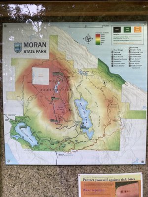 Moran State Park by null