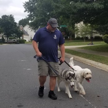 Carolina's Dog Trainer - Pet Training Near Me - Lancaster, South Carolina Carolina's Dog Trainer - Pet Training Near Me - Lancaster, South Carolina