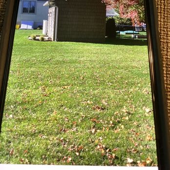 Monmouth Sod - a view of a house through a mirror - Lawn Services Near Me - Hazlet, New Jersey Monmouth Sod - a view of a house through a mirror - Lawn Services Near Me - Hazlet, New Jersey