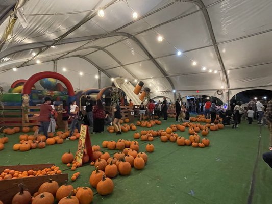 Brea Pumpkin Patch & Fall Festival - We prize our pumpkin patch for offering the best quality pumpkins and fall themed family entertainment. Whether you are looking to bake a pumpkin pie or carve a jack-o-lantern, we have a pumpkin that's perfect for you! We have lots of inflatable attractions and ride-on kid sized tractors. Our farm animal exhibition is great for the whole family, too! Learn more on our website.