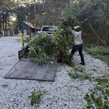Dominos Lawn - Brush removal - Lawn Services Near Me - Daphne, Alabama