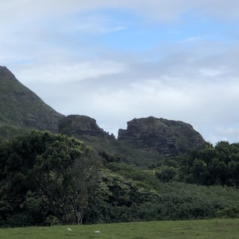Kualoa Ranch - Kissing Gorillas! - Tours Near Me - Kaneohe, Hawaii Kualoa Ranch - Kissing Gorillas! - Tours Near Me - Kaneohe, Hawaii
