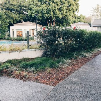 Shadowbrook Apartments - Apartments Near Me - Sunnyvale, California