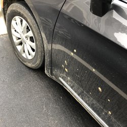 Hertz Rent A Car