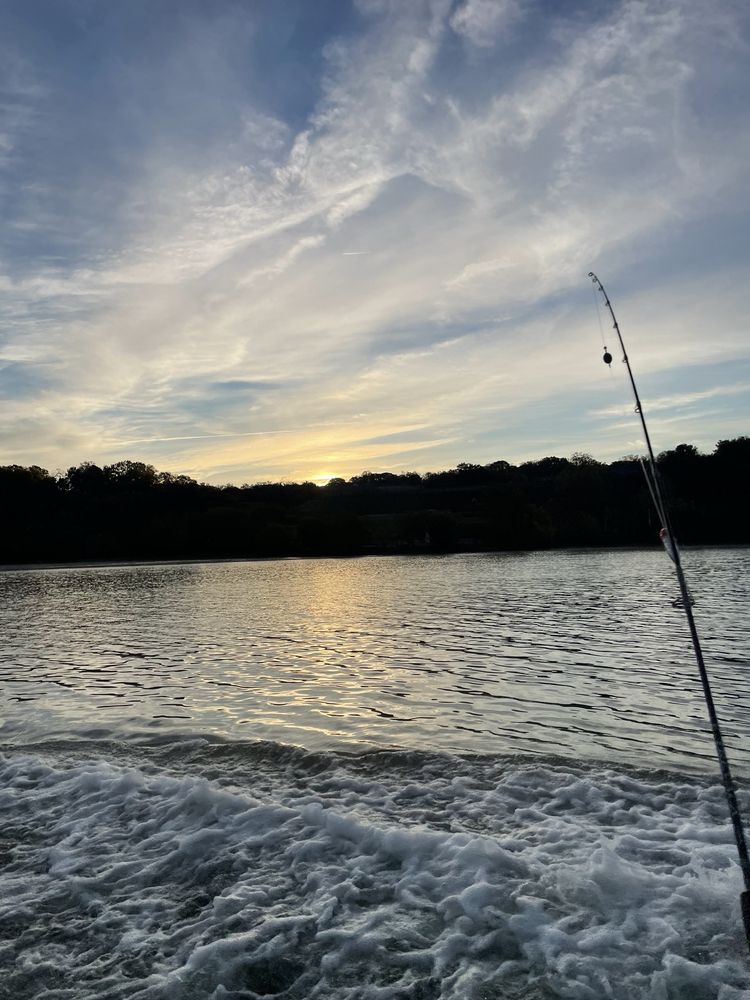 Miss Susie Charters Logo