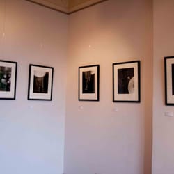 Axolotl Gallery