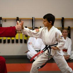 Lane Academy of Martial Arts