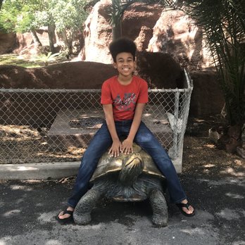 Gladys Porter Zoo - Zoos Near Me - Brownsville, Texas