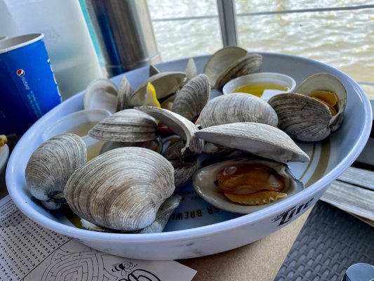 Fisherman's Crab Deck by null