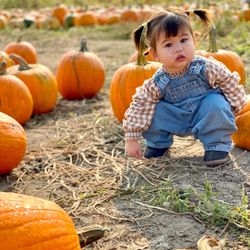 Swans Trail Farms - Swans Trail Farms Pumpkin Patch. Photo by Sarinya Duke