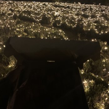 123 Farm - Failed pizza picture in lavender field - Farmers Market Near Me - Cherry Valley, California 123 Farm - Failed pizza picture in lavender field - Farmers Market Near Me - Cherry Valley, California
