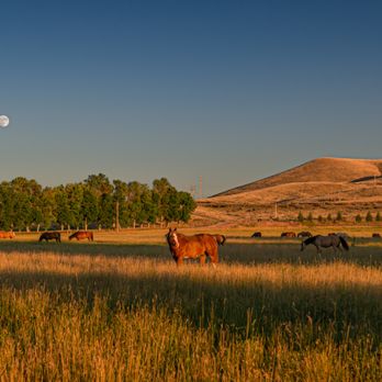 The Hideout Lodge & Guest Ranch - The Hideout Lodge & Guest Ranch is all about riding, horsemanship and hospitality. - Guest Houses Near Me - Shell, Wyoming The Hideout Lodge & Guest Ranch - The Hideout Lodge & Guest Ranch is all about riding, horsemanship and hospitality. - Guest Houses Near Me - Shell, Wyoming