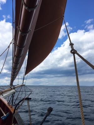 Windjammer Angelique by null