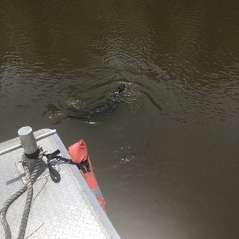 Ultimate Swamp Adventures - Tours Near Me - Westwego, Louisiana Ultimate Swamp Adventures - Tours Near Me - Westwego, Louisiana