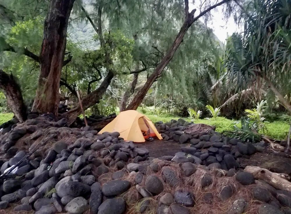 Waimanu Valley Campsites Logo