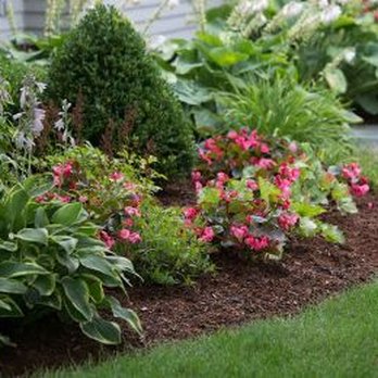 B&B Outdoor Solutions - a garden with flowers and shrubs - Fences & Gates Near Me - Draper, Utah B&B Outdoor Solutions - a garden with flowers and shrubs - Fences & Gates Near Me - Draper, Utah