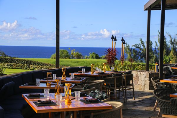 The Banyan Tree by null