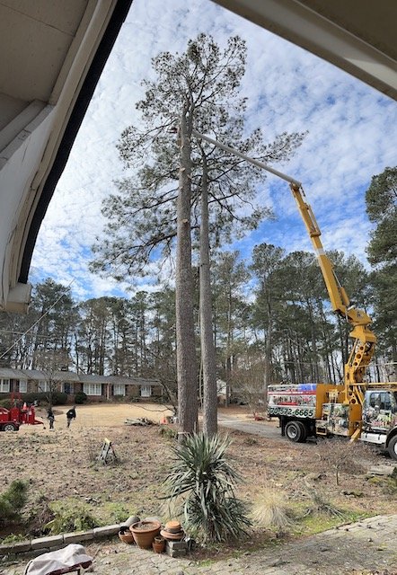 Eagle One Tre Services - tree service in Atlanta, GA