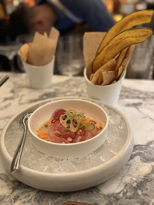 Toro Toro by null Toro Toro by null