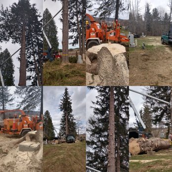 Dave & Sons Tree Service - 607-377-7493 free estimates - Tree Services Near Me - Addison, New York