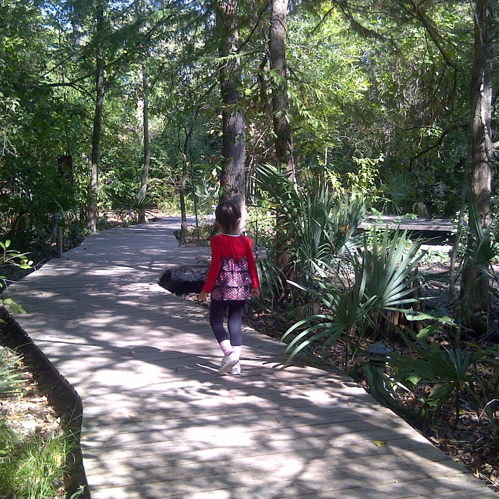 Edith L Moore Nature Sanctuary - Plenty of interesting trails to explore. - Parks Near Me - Houston, Texas Edith L Moore Nature Sanctuary - Plenty of interesting trails to explore. - Parks Near Me - Houston, Texas