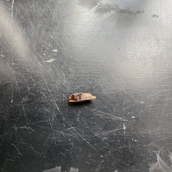 Chop Stop - Piece of wood in my salad - Salad Near Me - Aliso Viejo, California