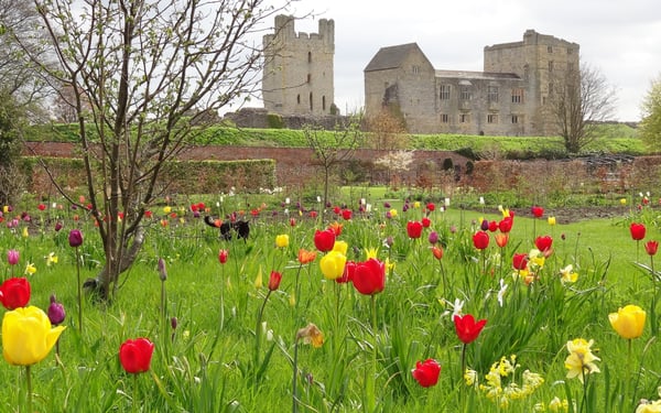 Helmsley Walled Garden by null