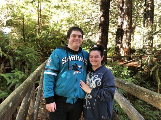 Redwood Adventures by null