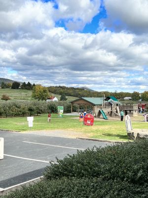 Marker-Miller Orchards by null
