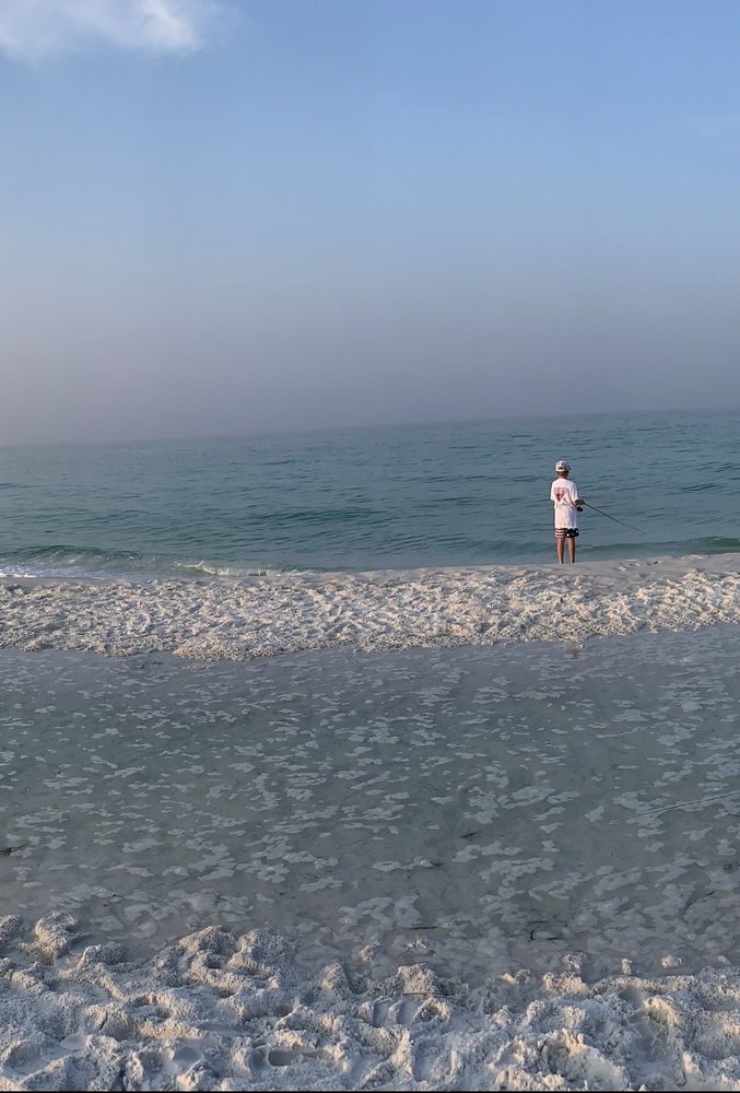 HALF HITCH TACKLE Updated September 2024 17 Photos & 30 Reviews