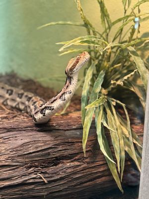 San Antonio Zoo Education Center by null