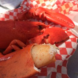 Big lobster + potato salad, ard CAD20