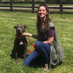 Guidance Dog Training